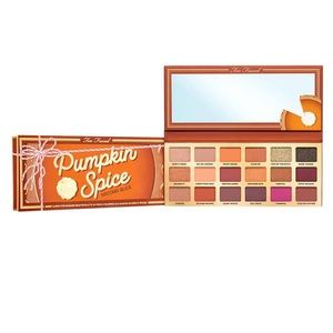PUMPKIN SPICE : SECOND SLICE PALETTE 😍🔥